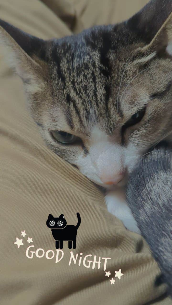 MAKO0MAKO0のインスタグラム