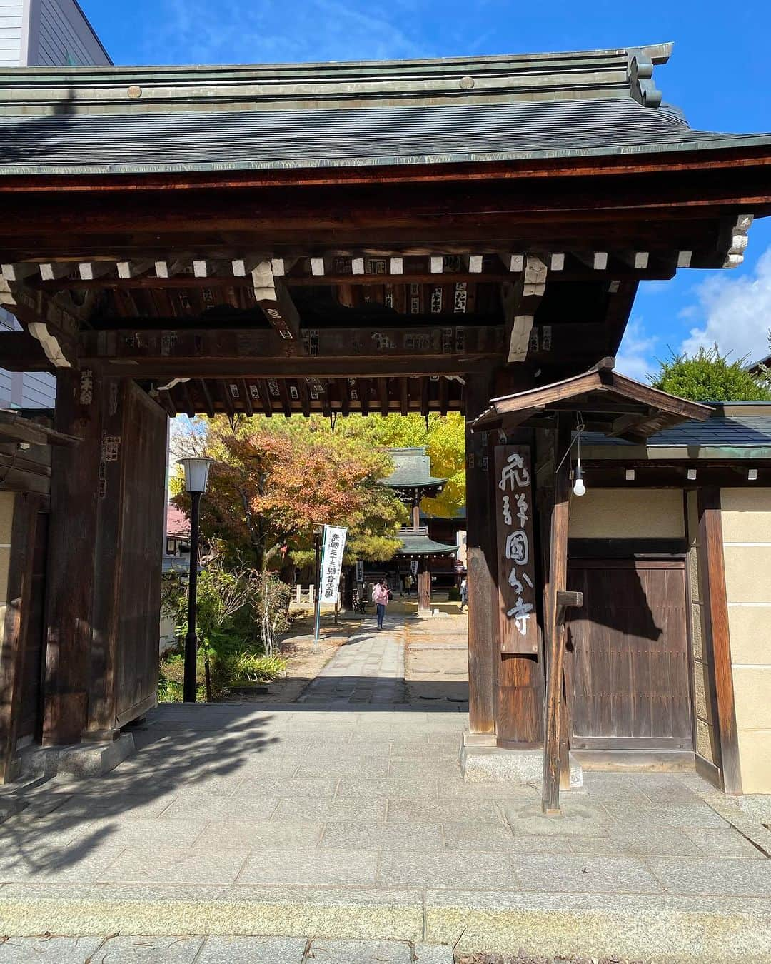 飛騨高山 旅館あすなろさんのインスタグラム写真 - (飛騨高山 旅館あすなろInstagram)「. 国分寺の大イチョウ🍂 落葉すると雪が降ると言われてます☃️  ーーーーーーーーーーーーーーーー 旅館あすなろ（@ryokanasunaro） 飛騨高山の伝統文化を映す宿 〒506-0008 岐阜県高山市初田町2丁目96-2 TEL:0577-33-5551 HP:https://www.yado-asunaro.com ーーーーーーーーーーーーーーーー  #旅館あすなろ#あすなろ#高山旅行#国内旅行 #飛騨高山#温泉旅行 #takayama#japan#onsen#asunaro #japantravel#japantrip#gifu #yukata#kimono」11月14日 18時39分 - ryokanasunaro