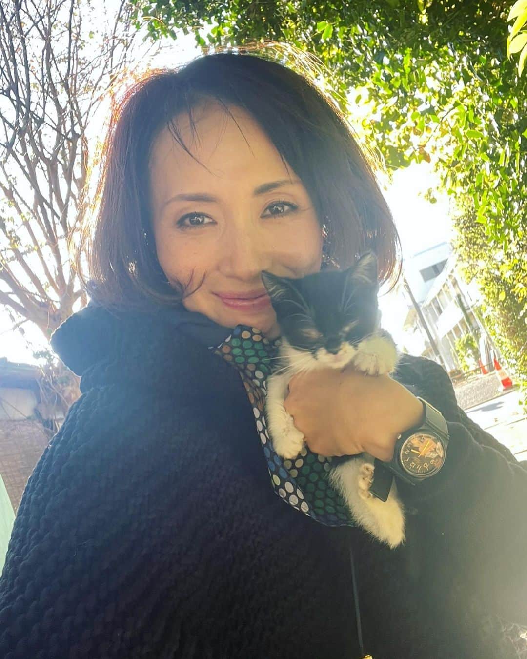 楊原京子のインスタグラム：「歩いていたら、目の前の道路の真ん中に、小さな小さな子猫が!!慌てて抱っこして安全な場所に。  小さくて、小さくて、軽くて... 怖がるどころか手をぺろぺろ舐めてきて、 はー愛おしい.... 日向の匂いがして可愛いかった.... 別れるのが寂しくて。 また会いに行きたい。 ・ ・ #子猫　#癒し猫 #会いたい」
