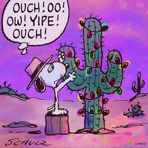スヌーピーのインスタグラム：「Time to get out the Christmas decorations!」