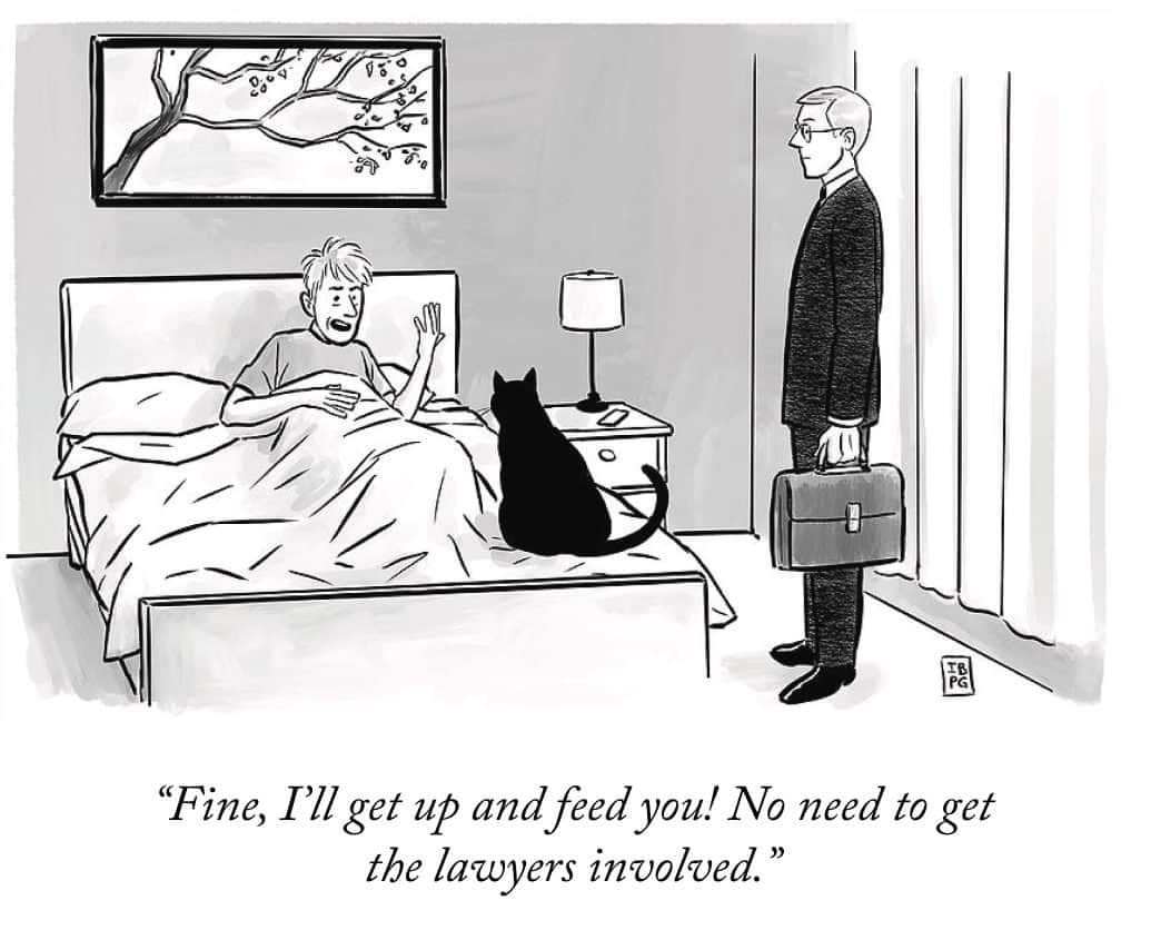 The New Yorkerのインスタグラム：「A cartoon by @mannequinonthemoon, from 2019. #NewYorkerCartoons」