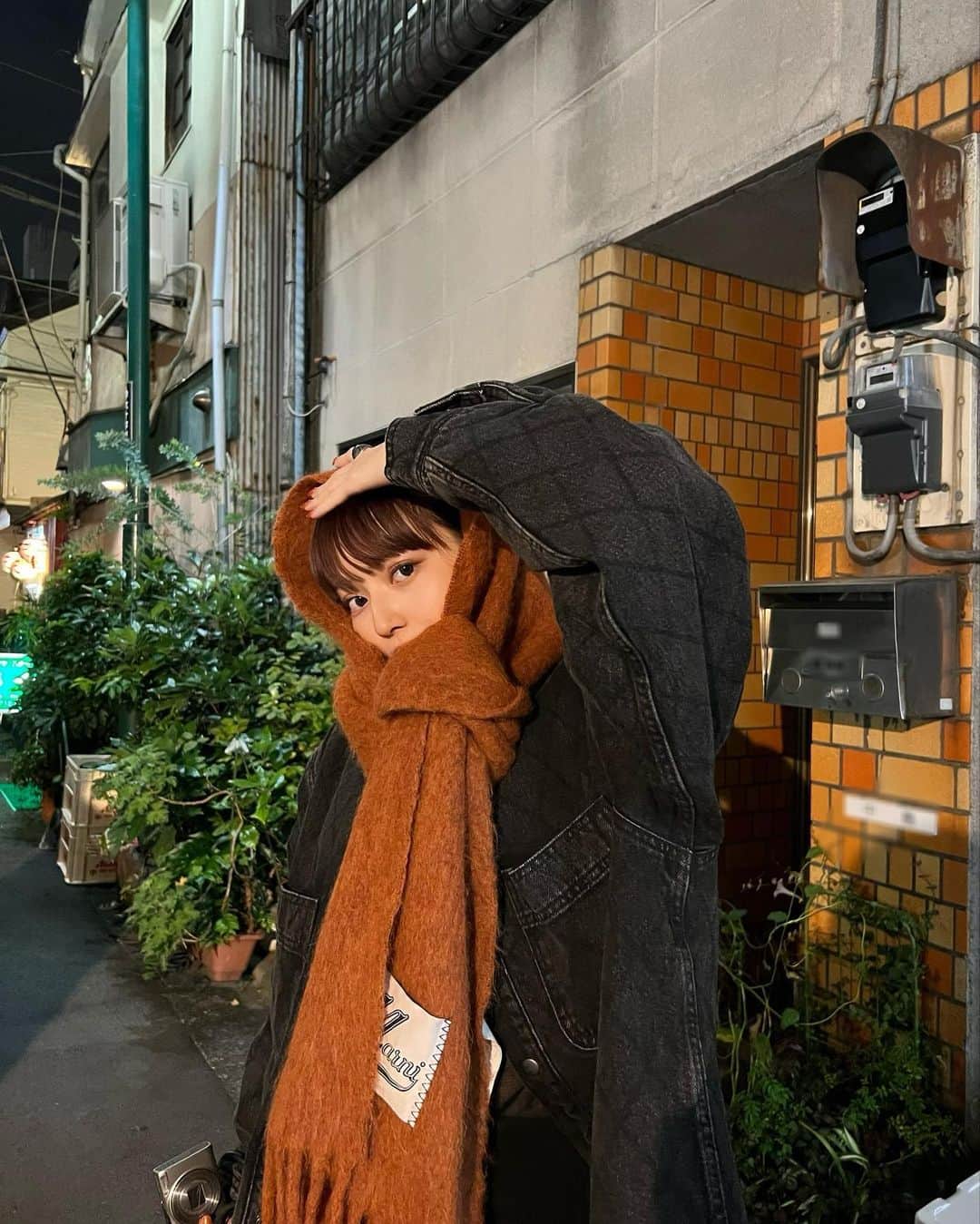 山崎江莉さんのインスタグラム写真 - (山崎江莉Instagram)「🐈  すっかり寒🥶」11月14日 21時03分 - o10913