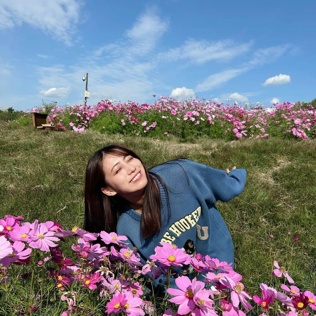 坂本遥奈さんのインスタグラム写真 - (坂本遥奈Instagram)「綺麗なコスモスと🌸  #モリコロパーク」11月14日 21時18分 - haruna_sakamoto_official