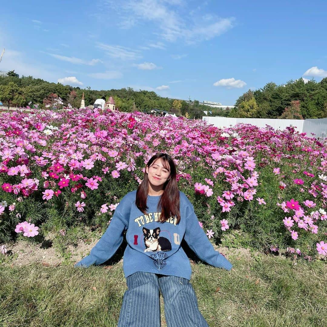 坂本遥奈さんのインスタグラム写真 - (坂本遥奈Instagram)「綺麗なコスモスと🌸  #モリコロパーク」11月14日 21時18分 - haruna_sakamoto_official