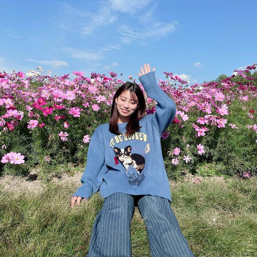 坂本遥奈のインスタグラム：「綺麗なコスモスと🌸  #モリコロパーク」