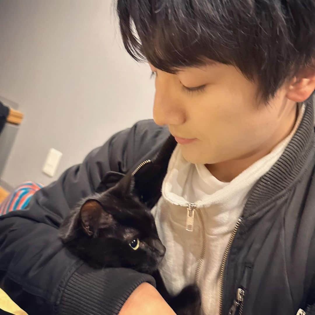 本田剛文のインスタグラム：「あったけえです！  #猫 #猫のいる暮らし #ねこすたぐらむ  #黒猫 #冬 #ボイメン #本田剛文」