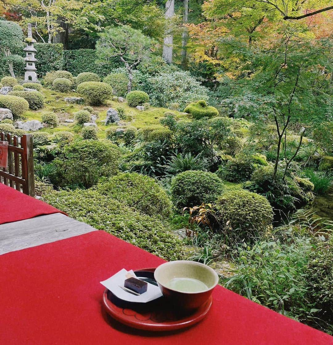 しゃらのインスタグラム：「京都へ行ったらお抹茶だが🍃😊🍵  #京都大原三千院#三千院 #matcha」