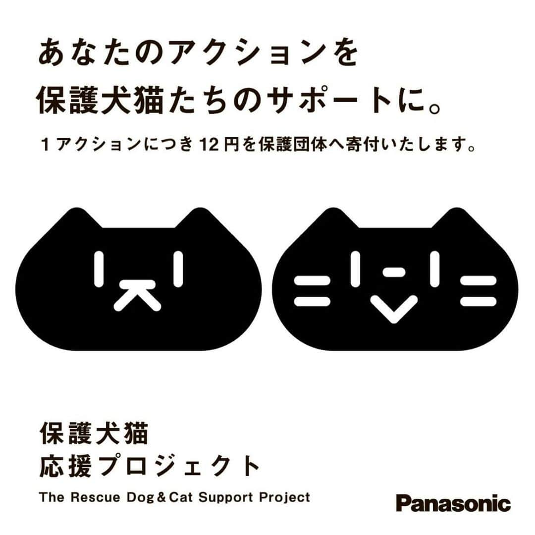 八、おこめさんのインスタグラム写真 - (八、おこめInstagram)「⁡\\お知らせ//⁡⁡ ⁡⁡#パナソニック保護犬猫譲渡会 ⁡今回、素晴らしいご縁をいただき譲渡会・チャリティグッズの販売で参加させていただきます。  teamねこのて( @nekonote0401 )は 11月26日 (日)第1部〈猫〉10:00～12:30 に参加させていただきます。  大阪での譲渡会を記念してSNS寄付キャンペーンを開始しています🐈🐕 (参加方法は2､3枚目をご覧ください)  そして会場では元保護犬猫たちの 100枚の写真展『みんなイヌみんなネコ』も同時開催✨ ハッチャンおこちゃんも写真展に参加させて頂きます♩ 私も初めて写真展を見に行けるのですごく楽しみにしています♩ 写真展は予約なしでご覧いただけますのでぜひたくさんの方に見ていただきたいです✨  ━━━━━━━━━━ 譲渡会エリアのみ入場が「事前予約制」となります。 詳細は @panasonicjp さん @sippo_official さんのアカウントやHPへ ◎譲渡会エリアの事前予約は https://panasonic.jp/pet/adoption_event23_osaka.html をご覧ください。 ⁡ ⚫譲渡会エリア⁡ ⁡（事前予約制）⁡ ⁡━━━━━━━━━━━━━━━ 2022年からスタートし、多くの保護犬猫たちと新たな家族の出会いの場を提供している「パナソニック保護犬猫譲渡会」を、大阪にて初めて開催します。 2日間でのべ200頭以上が参加する「譲渡会エリア（事前予約制）」のほか、現在は幸せに暮らす元保護犬猫たちの写真展、ペット家電体験会など、来場予約不要で楽しめるコンテンツも盛りだくさん。お迎えをご検討中の方も、そうでない方も、ぜひお越しください。⁡ ⁡━━━━━━━━━━ 日時 ⁡2023/11/25(土)⁡ ⁡ 10:00 - 17:30⁡ ⁡ 2023/11/26(日) ⁡ ⁡10:00 - 17:00⁡ ⁡ 場所：大阪ビジネスパーク(OBP) ツイン21 アトリウム 大阪市中央区城見2丁目1番61号⁡ 入場料：無料　 主催：パナソニック株式会社⁡⁡ 協力：朝日新聞社（sippo編集部） ━━━━━━━━━━ ぜひお越しください🐱🐱😸 ⁡⁡━━━━━━━━━━ #panasonic #sippo #みんなイヌみんなネコ #teamねこのて #シェルター便り #里親募集 #保護猫 #譲渡会 #猫のシェルター #ねこ部 #cat #ねこ #猫 #ネコ」11月14日 21時35分 - naomiuno