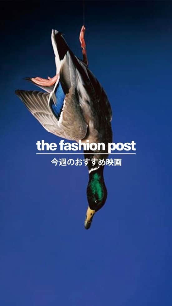 The Fashion Postのインスタグラム