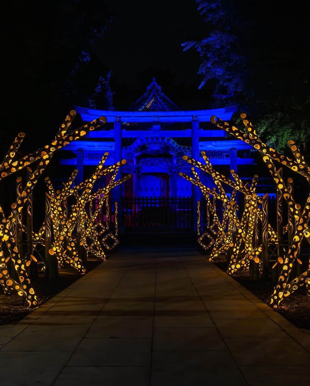 墨田区さんのインスタグラム写真 - (墨田区Instagram)「「東京下町回遊 竹あかり @牛嶋神社」   繁殖し過ぎた竹を活用しようという思いから生まれた竹あかり。誕生はほんの数十年前とのことです🍂牛嶋神社には竹あかりと鞠灯籠が設置され、幻想的な雰囲気になっています✨  期間  2023年11月9日(木)〜2024年1月31日(水)  時間帯  17:00〜22:00  場所  すみだリバーウォーク®️、隅田公園、牛嶋神社 など  ▼イベントの詳しく情報は以下から▼  https://www.tobu.co.jp/odekake/special/takeakari/  撮影者: #すみだカメラ部10選  1~5枚目▶ 鹿美 @shikami_kobayashi  6枚目▶ @036pov  7~9枚目▶ @masashi_se  #墨田区#すみだ#sumida#東京#tokyo#わたしのすみだ自慢#これもすみだのシティプロモー ション #東京下町 #月あかり#牛嶋神社 #竹あかり #すみだリバーウォーク #隅田公園 #ナイトマルシェ #ワークショップ #東京観光 #夜景 #東京体験 #秋 #ナイトタイムエコミー」11月17日 18時00分 - sumida_official