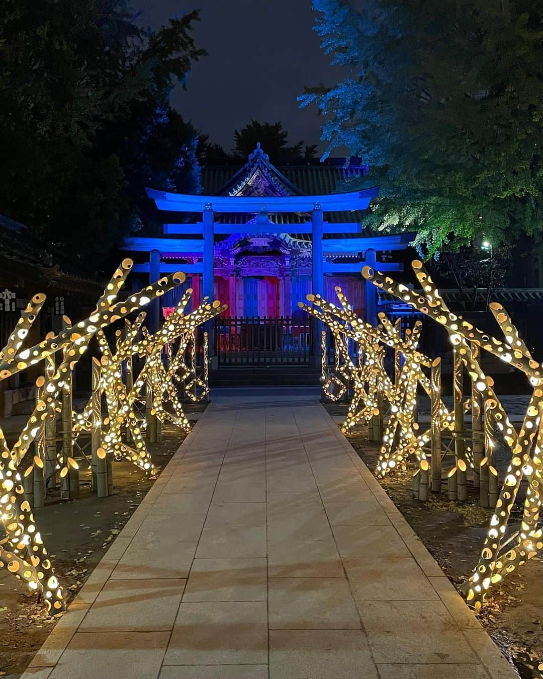 墨田区さんのインスタグラム写真 - (墨田区Instagram)「「東京下町回遊 竹あかり @牛嶋神社」   繁殖し過ぎた竹を活用しようという思いから生まれた竹あかり。誕生はほんの数十年前とのことです🍂牛嶋神社には竹あかりと鞠灯籠が設置され、幻想的な雰囲気になっています✨  期間  2023年11月9日(木)〜2024年1月31日(水)  時間帯  17:00〜22:00  場所  すみだリバーウォーク®️、隅田公園、牛嶋神社 など  ▼イベントの詳しく情報は以下から▼  https://www.tobu.co.jp/odekake/special/takeakari/  撮影者: #すみだカメラ部10選  1~5枚目▶ 鹿美 @shikami_kobayashi  6枚目▶ @036pov  7~9枚目▶ @masashi_se  #墨田区#すみだ#sumida#東京#tokyo#わたしのすみだ自慢#これもすみだのシティプロモー ション #東京下町 #月あかり#牛嶋神社 #竹あかり #すみだリバーウォーク #隅田公園 #ナイトマルシェ #ワークショップ #東京観光 #夜景 #東京体験 #秋 #ナイトタイムエコミー」11月17日 18時00分 - sumida_official