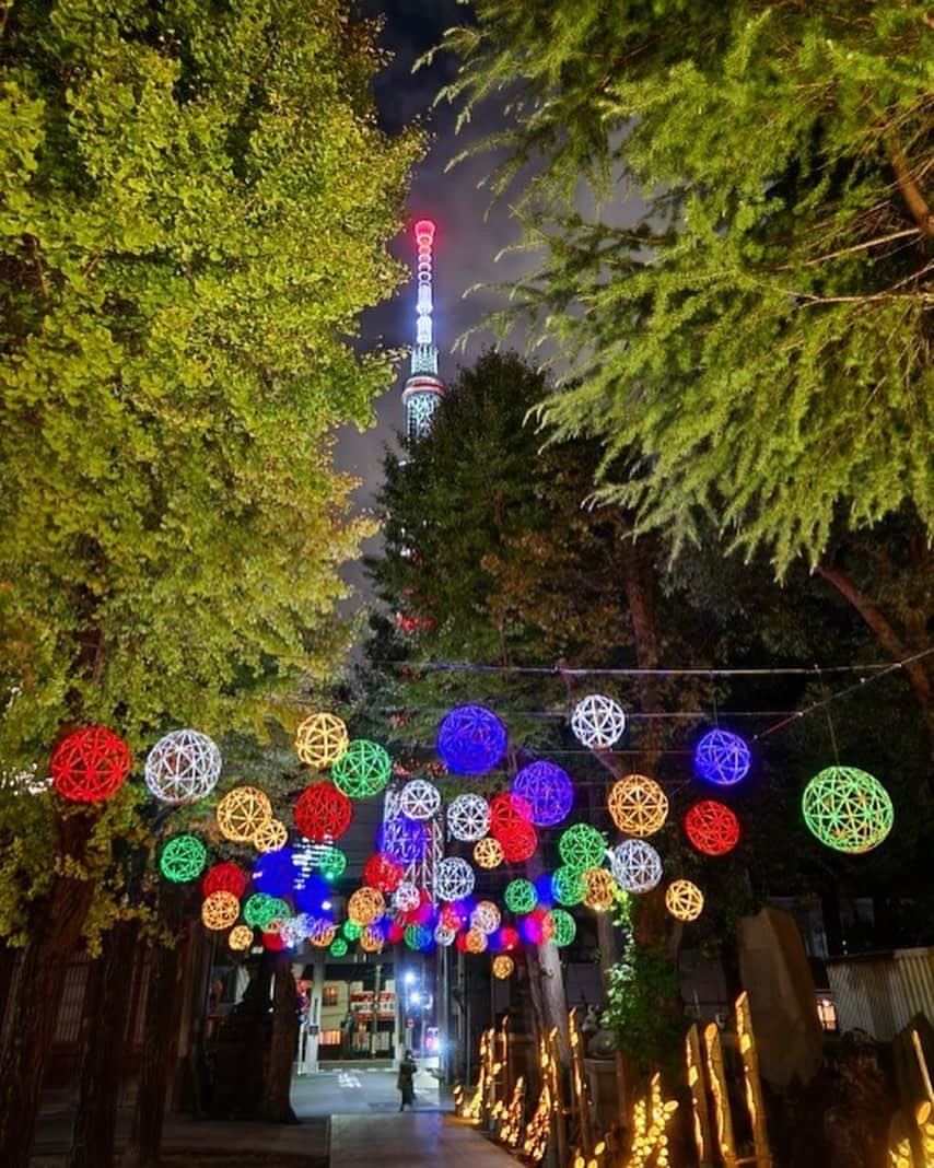 墨田区さんのインスタグラム写真 - (墨田区Instagram)「「東京下町回遊 竹あかり @牛嶋神社」   繁殖し過ぎた竹を活用しようという思いから生まれた竹あかり。誕生はほんの数十年前とのことです🍂牛嶋神社には竹あかりと鞠灯籠が設置され、幻想的な雰囲気になっています✨  期間  2023年11月9日(木)〜2024年1月31日(水)  時間帯  17:00〜22:00  場所  すみだリバーウォーク®️、隅田公園、牛嶋神社 など  ▼イベントの詳しく情報は以下から▼  https://www.tobu.co.jp/odekake/special/takeakari/  撮影者: #すみだカメラ部10選  1~5枚目▶ 鹿美 @shikami_kobayashi  6枚目▶ @036pov  7~9枚目▶ @masashi_se  #墨田区#すみだ#sumida#東京#tokyo#わたしのすみだ自慢#これもすみだのシティプロモー ション #東京下町 #月あかり#牛嶋神社 #竹あかり #すみだリバーウォーク #隅田公園 #ナイトマルシェ #ワークショップ #東京観光 #夜景 #東京体験 #秋 #ナイトタイムエコミー」11月17日 18時00分 - sumida_official