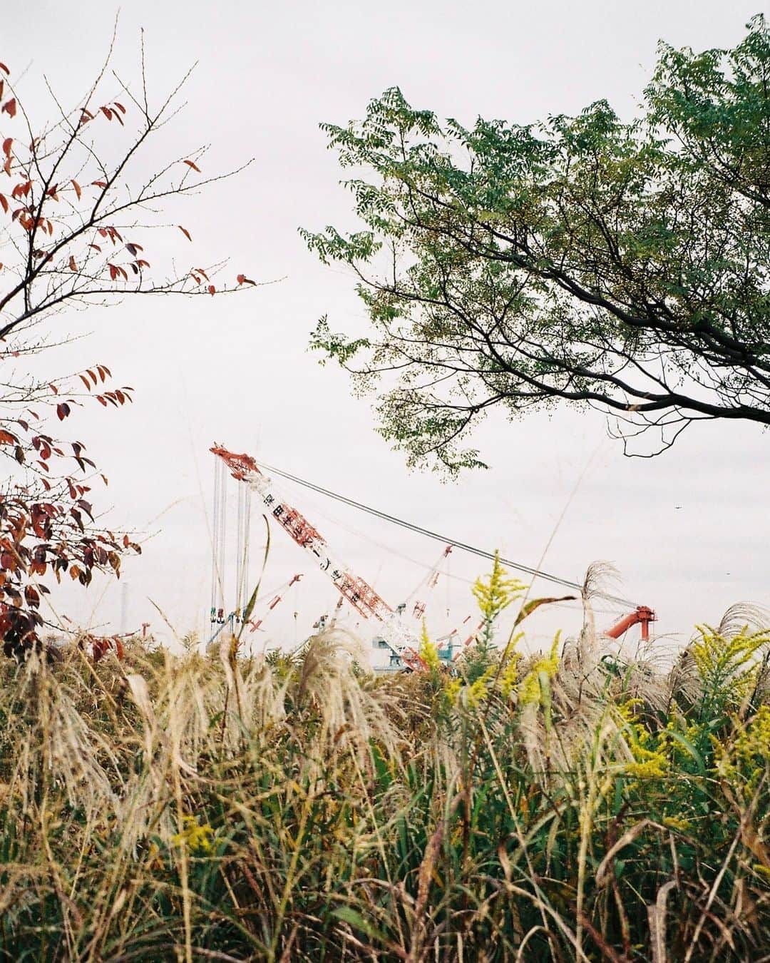 高橋龍之介のインスタグラム：「とある日の早朝📽️🍂🌳🏗️」