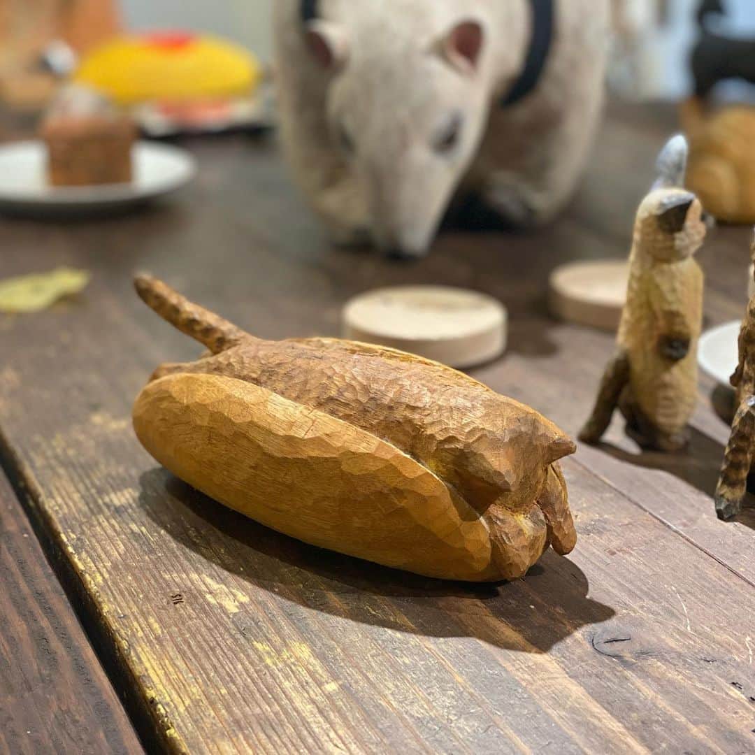花房さくらのインスタグラム：「ホットドッグだと思った？  実は「HOT CAT」なのです🌭  This is not a hot dog. It is a hot cat.  #ホットドッグ #🌭  #喫茶モリノケモノ #gallerykissa  #hotdog #hotcat  #woodcarving #cat #sculpture #hanafusasakura」