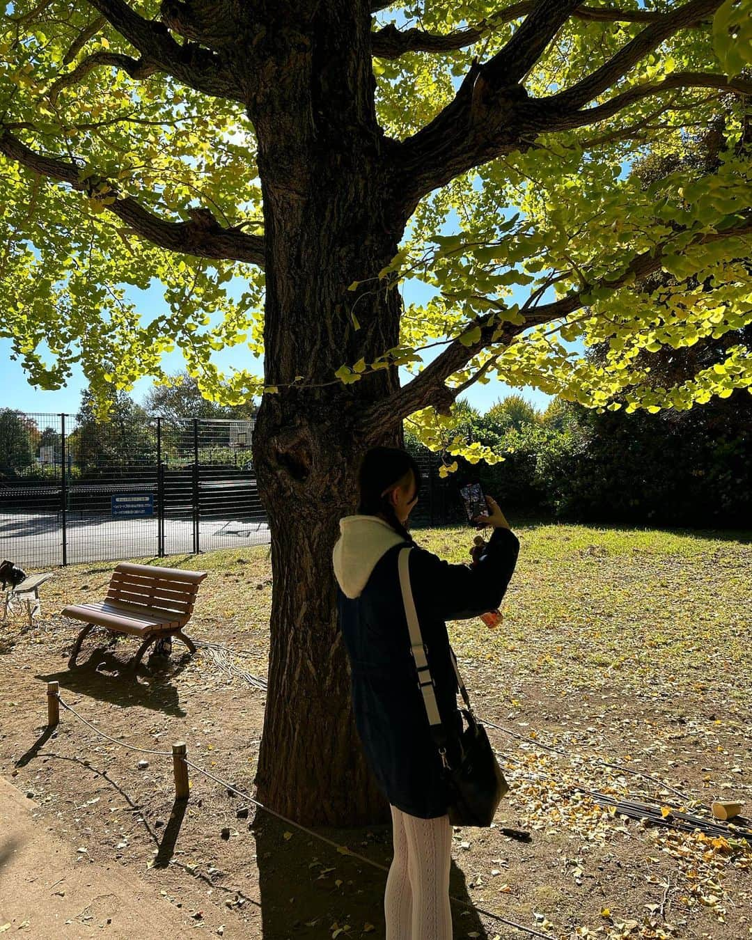 深瀬美桜さんのインスタグラム写真 - (深瀬美桜Instagram)「お散歩好き~~🚶🏼‍♀️🍂」11月14日 22時29分 - fukasemio