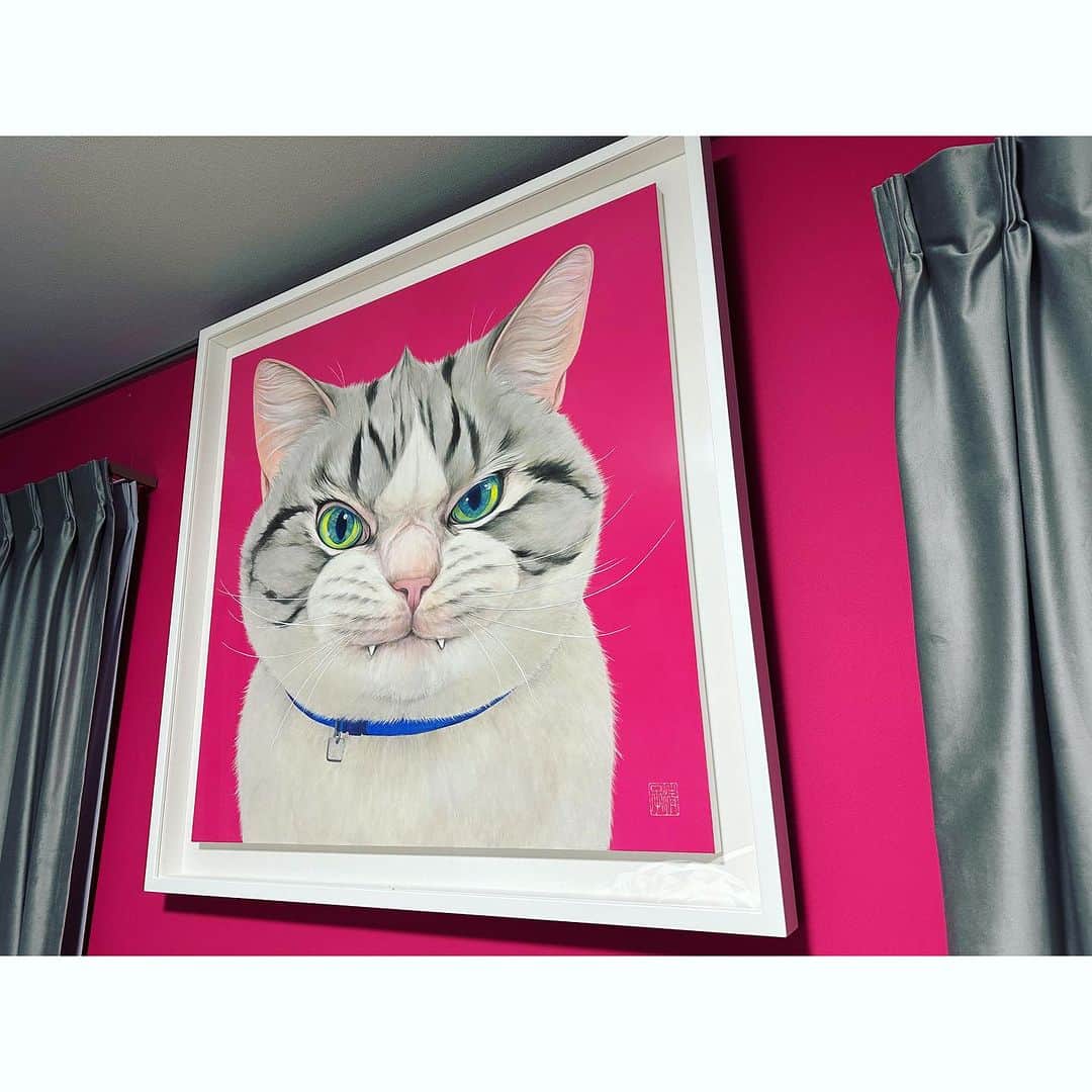 渡部いずみさんのインスタグラム写真 - (渡部いずみInstagram)「怒っているように見えたら、 何かやましい。 ⁡ 考えているように見えたら、 頑張っている。 ⁡ 苦しそうに見えたら、 無理してる。 ⁡ って、事にしたけど、やっぱ いつ見ても怒ってる😵‍💫🩷！ 猫はそれが可愛い🐱🩷🩷 ⁡ ⁡ ⁡とても大切にしている絵です🤲 見ると何でも頑張れます🤲  ⁡ ⁡ ⁡ ⁡ ⁡ ⁡ #伊藤清子画伯 #日本画 #猫 #宝物 ⁡ ⁡ ⁡ #スキンケア #ヘアケア #美意識 #美容 #通販 #楽天 #yahoo #Amazon #自社モール #マルチクレンズ  #美肌 #洗顔 #クレンジング #美肌効果 ⁡ #渡部いずみ #PINCHER #メイク #艶肌 ⁡ ⁡ ⁡ ⁡ ⁡ ⁡ ⁡ ⁡」11月14日 22時24分 - pincher__izumi