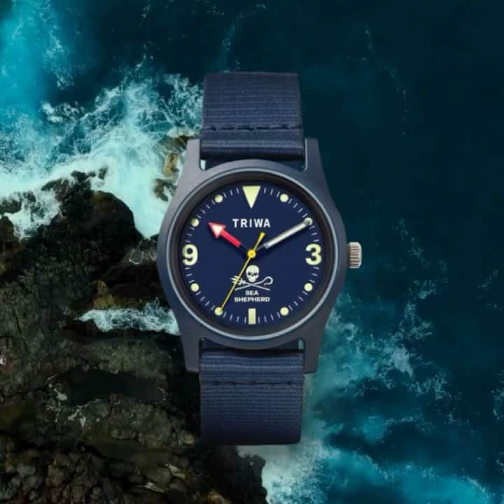 TRIWAのインスタグラム：「Watches that help Sea Shepherd in preserving the world's seas and marine life. Don't miss supporting their incredible contribution by purchasing our Triwa x Sea Shepherd watches 🌊🐋」