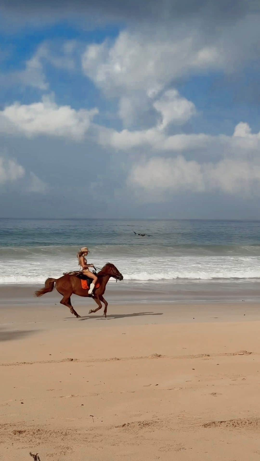 Cindy Pradoのインスタグラム：「Magical morning with the horsies at @nihi 🌺」