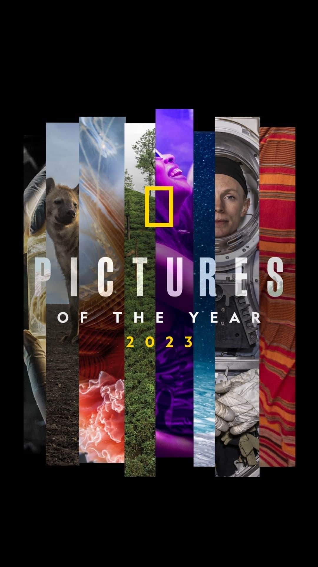 ナショナルジオグラフィックのインスタグラム：「The wonder of our world in 29 photos 📸 In the last year, we had 165 photographers in the field who returned with more than 2 million photographs. See our Pictures of the Year at the link in bio. #NatGeoPOY23」