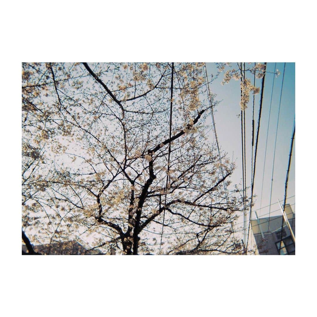 井上小百合さんのインスタグラム写真 - (井上小百合Instagram)11月14日 23時29分 - sayuri_inoue.official