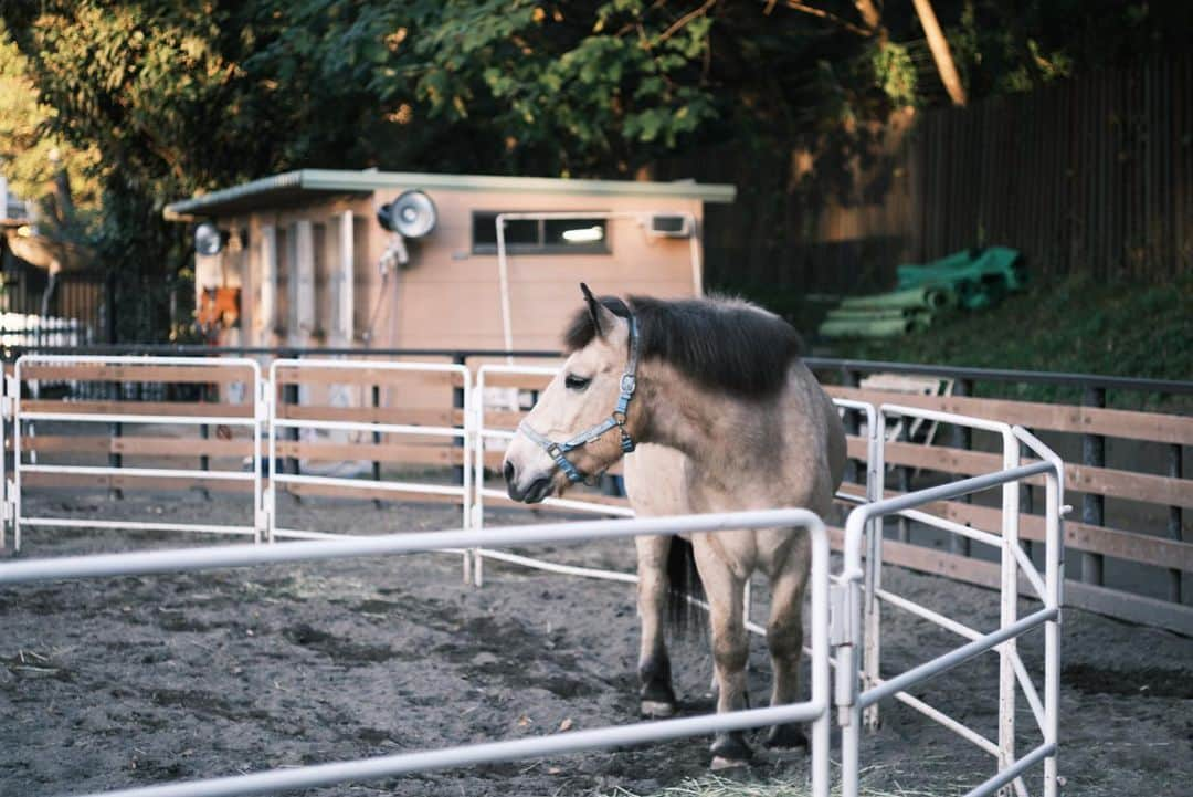 角田美喜のインスタグラム：「今日の寄り道貴重な時間です🐴インドアレッスン日でした🥁」