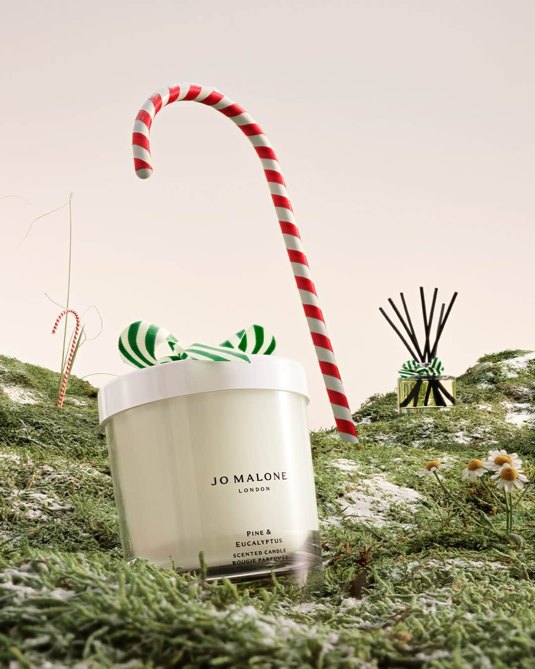 Jo Malone Londonのインスタグラム：「The scent you’ve been pining for. Enjoy the aromatic and enlivening notes of Pine & Eucalyptus in a limited-edition candle and diffuser. Tap to shop. #SeasonOfScent」