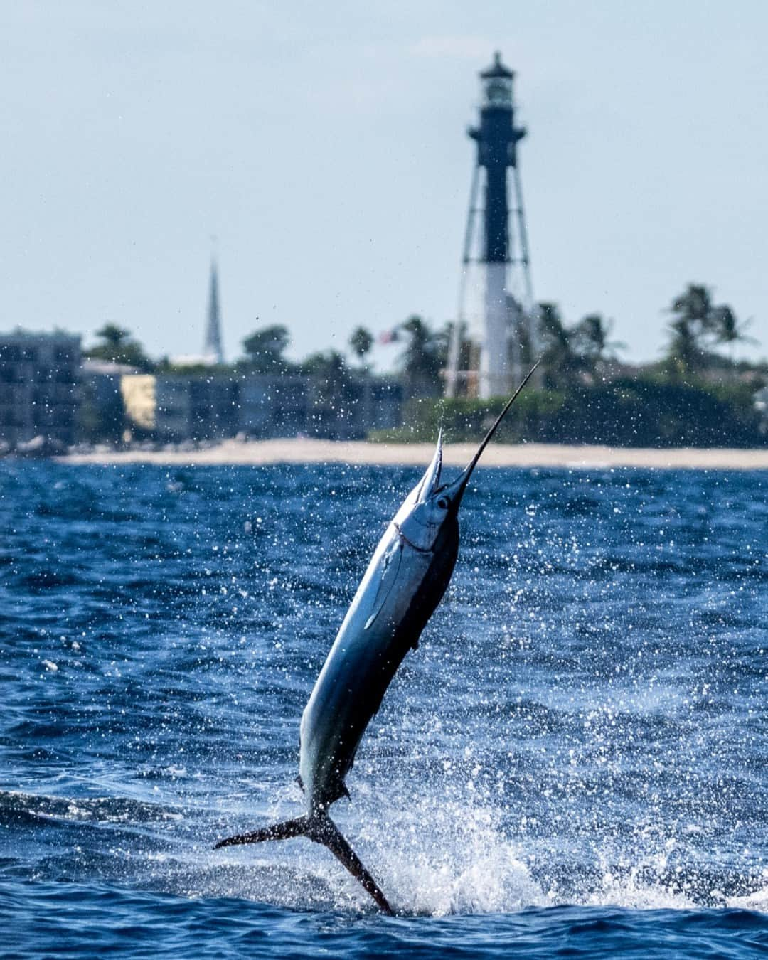 シマノ｜Fishingさんのインスタグラム写真 - (シマノ｜FishingInstagram)「Cold fronts mean one thing to anglers in South Florida... Get ready for the season with the all-new Terez BW BFC lineup of rods.」11月15日 0時49分 - fish_shimano_north_america