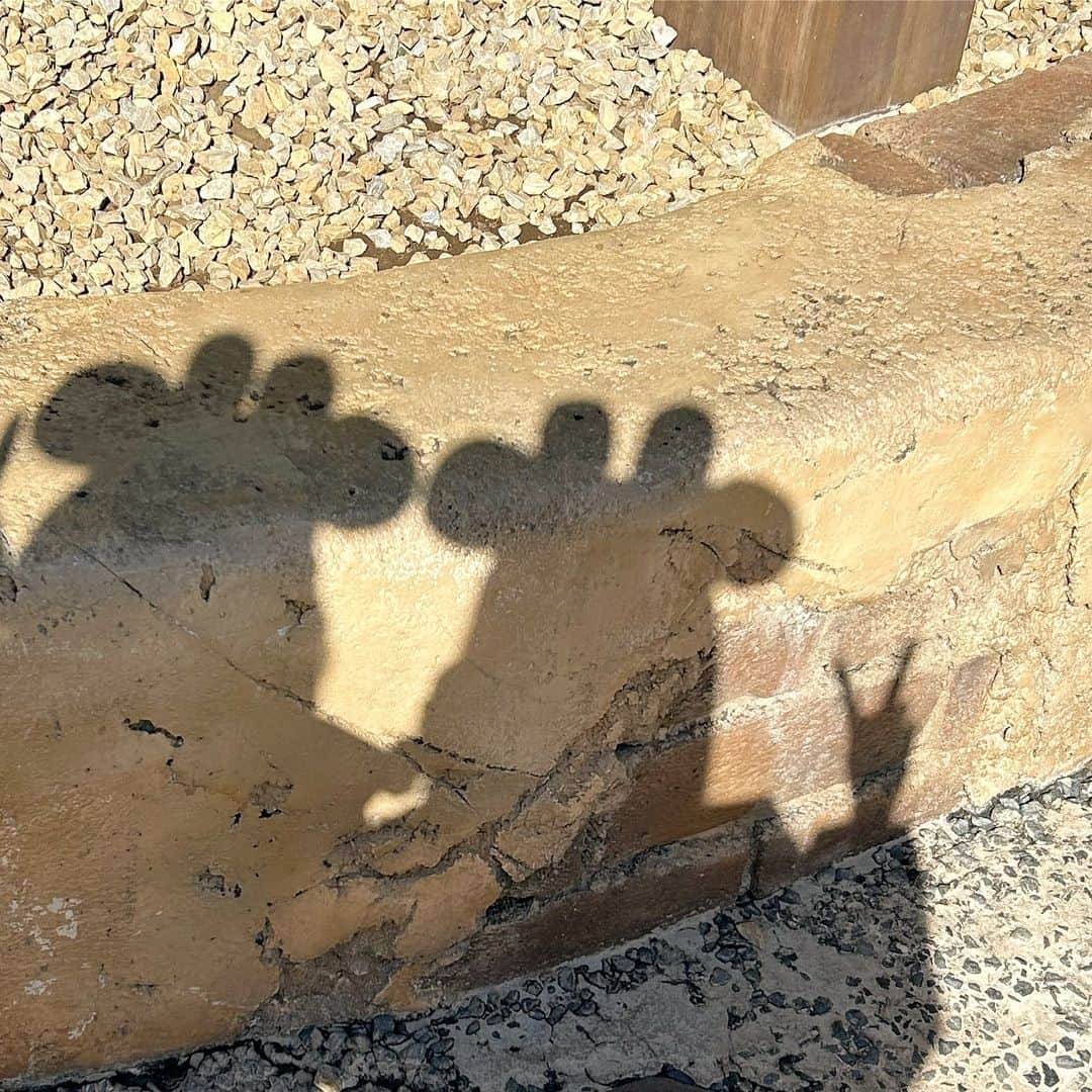 のインスタグラム