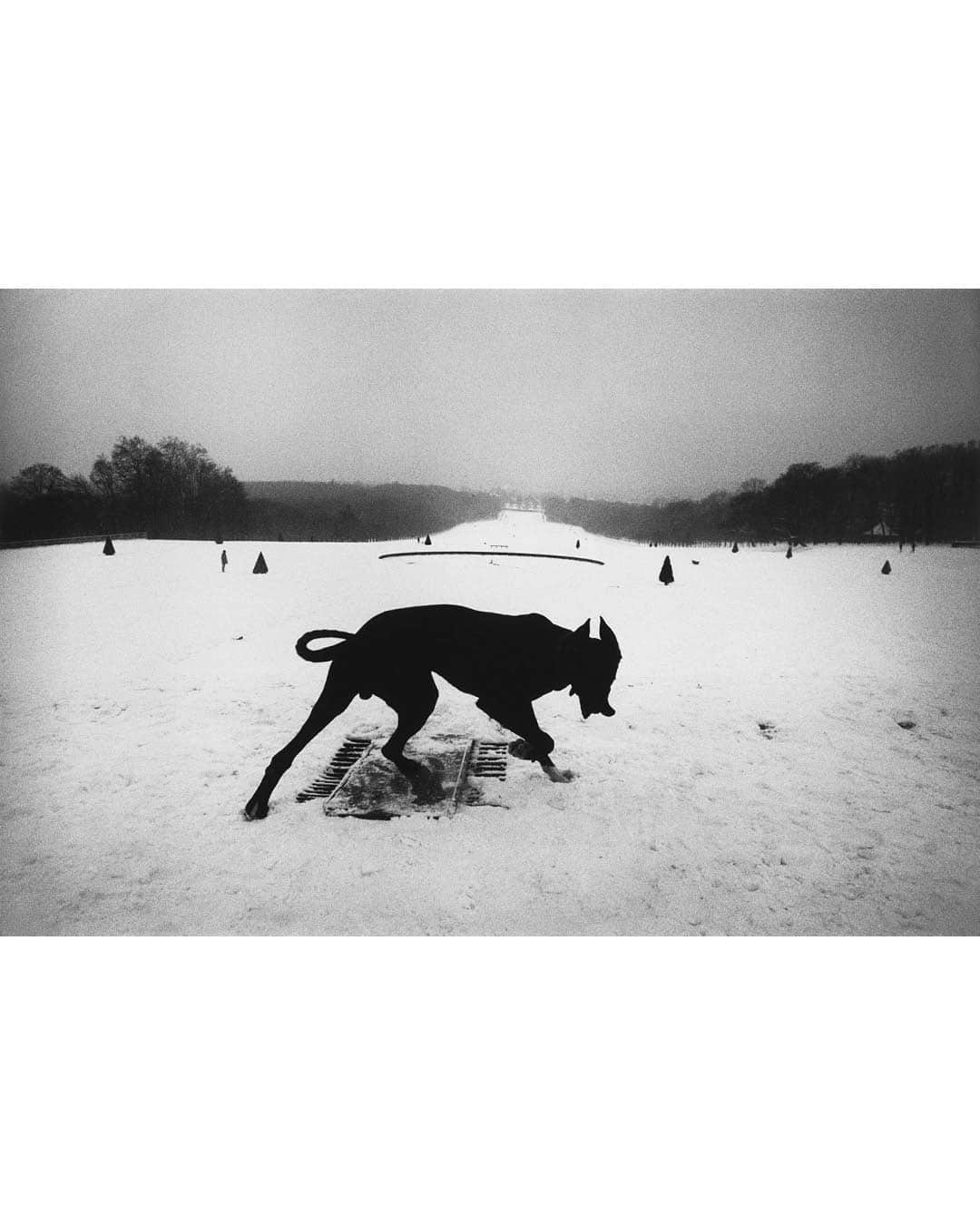 Magnum Photosさんのインスタグラム写真 - (Magnum PhotosInstagram)「@josef_koudelka: Next, a new illustrated biography by Melissa Harris, tells the remarkable story of Koudelka’s life and photographic practice 📸⁠ ⁠ A career spanning six decades and many defining moments, Josef Koudelka’s story is etched into the history of photojournalism and of Magnum itself. Yet, throughout his career, Koudelka has eschewed talks, interviews and teaching opportunities – jokingly referring to himself as “Mr. No" – propagating the enigma surrounding the man behind the lens. ⁠ ⁠ In a new book published by @aperturefnd and @magnumfoundation, Josef Koudelka: Next, writer Melissa Harris compiles ten years of exclusive interviews with the artist, recounting his life and career since his birth in 1938, his two decades in political exile, six decades of photographic practice and his philosophy of photography. ⁠ ⁠ 🔗 Tap the link in the @magnumphotos bio to explore the book.⁠ ⁠ PHOTOS (left to right):⁠ ⁠ (1) Josef Koudelka with two Exakta cameras, Slovakia. 1968; from Josef Koudelka: Next (Aperture, 2023). © 2023 Bohumil Puskailer⁠ ⁠ (2) Warsaw Pact tanks invade Prague. Prague, Czechoslovakia. August 21, 1968. © @josef_koudelka / Magnum Photos⁠ ⁠ (3) Parc de Sceaux. Hauts-de-Seine, France. 1987. © @josef_koudelka / Magnum Photos⁠ ⁠ (4) Ireland. 1976. © @josef_koudelka / Magnum Photos」11月15日 1時01分 - magnumphotos