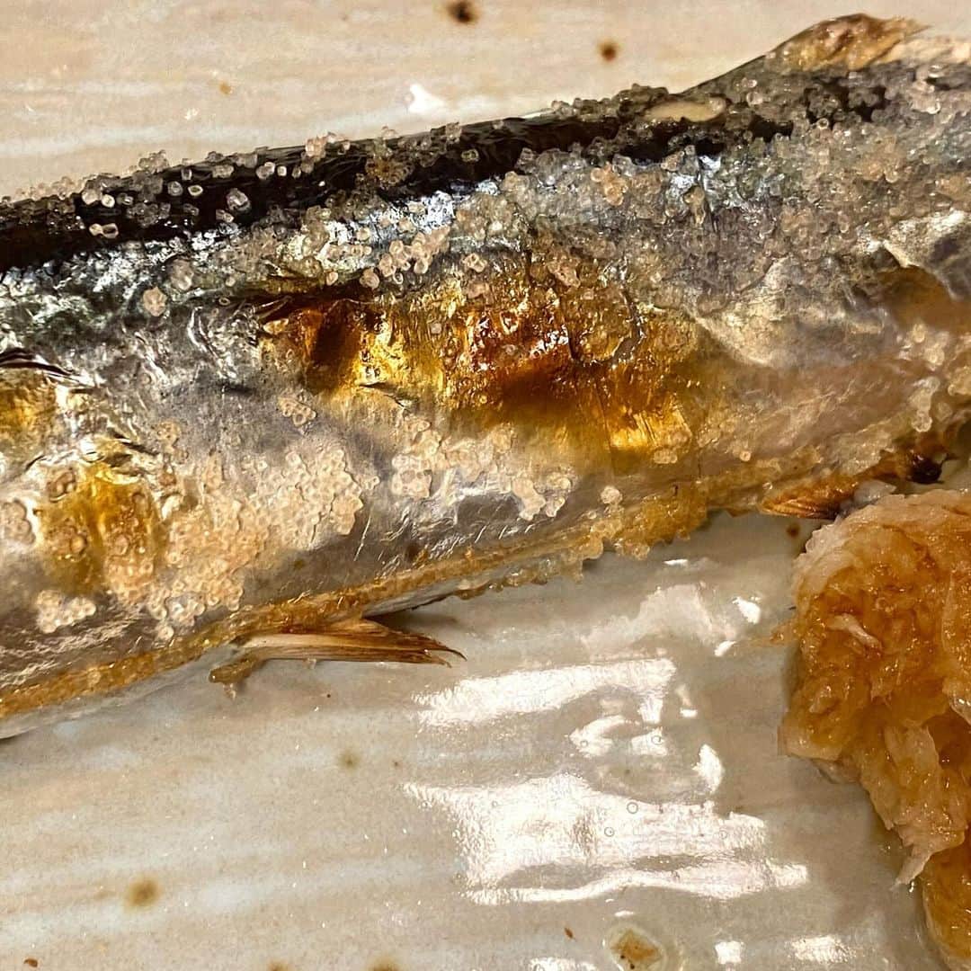 江口寿史さんのインスタグラム写真 - (江口寿史Instagram)「「今年の秋刀魚はちっちゃくて細いのしかない。値段はバカ高いし、、」と闇太郎マスターも嘆いていたが、ようやく普通のサイズの秋刀魚が出てきた。値段はまだ高いみたいだが。このシーズンは毎日食べても飽きないくらい秋刀魚はおいしいけど、写真に全体像をおさめるのは難しいよね。」11月15日 1時16分 - egutihisasi
