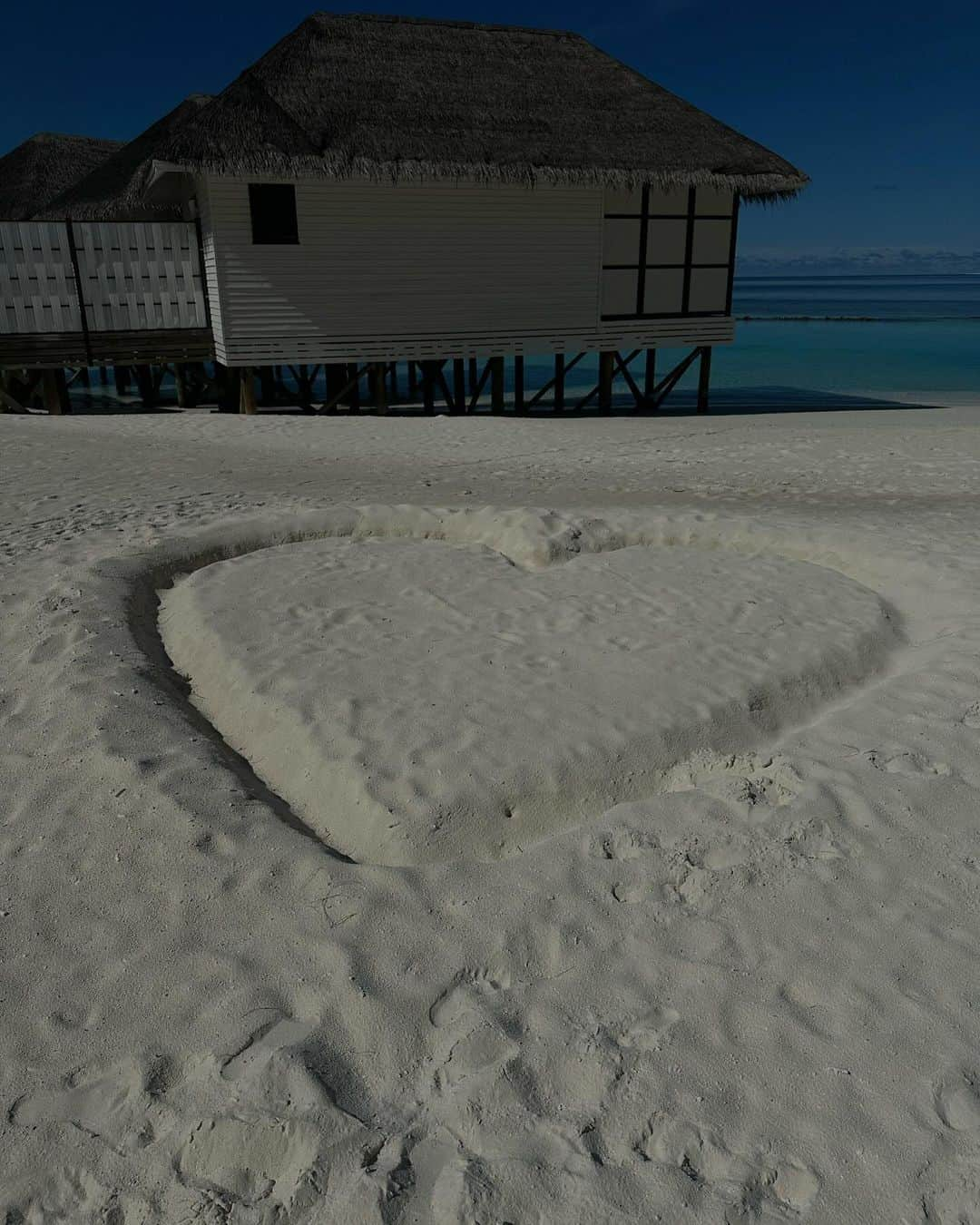 シャニーナ・シャイクさんのインスタグラム写真 - (シャニーナ・シャイクInstagram)「Pure bliss in the Maldives @novamaldives」11月15日 1時37分 - shaninamshaik