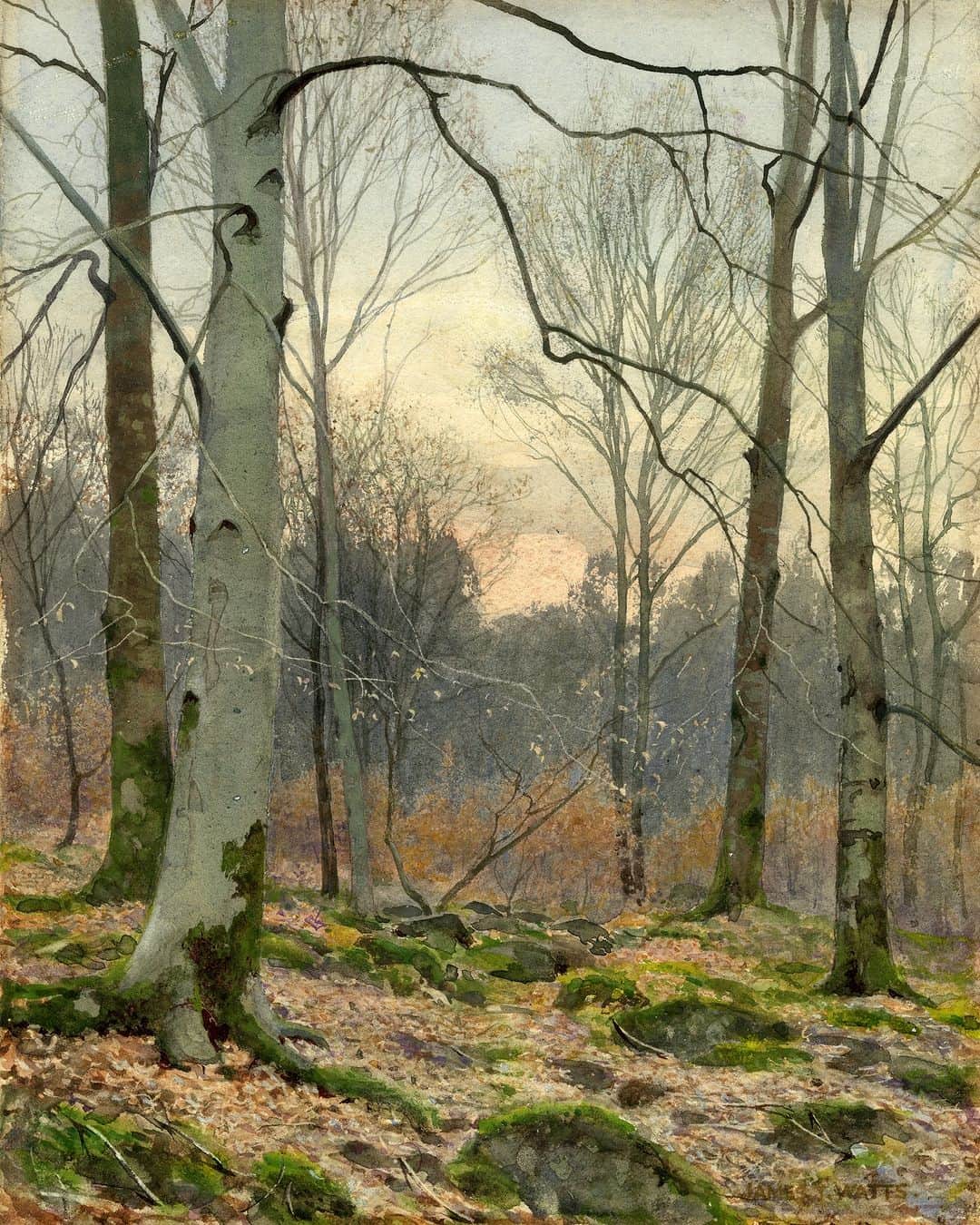 大英博物館のインスタグラム：「🍂 Autumn is truly here 🍂  This watercolour of a Welsh wood in November captures the seasonal atmosphere so wonderfully that it could almost be a photograph 📸  🔎 James Thomas Watts (1850–1930), ‘November evening in a Welsh wood’. Watercolour with scratching out, c. 1885–1895.   ℹ Purchased from the sale of David Fuller’s collection of Victorian watercolours at Christies, 2000.」
