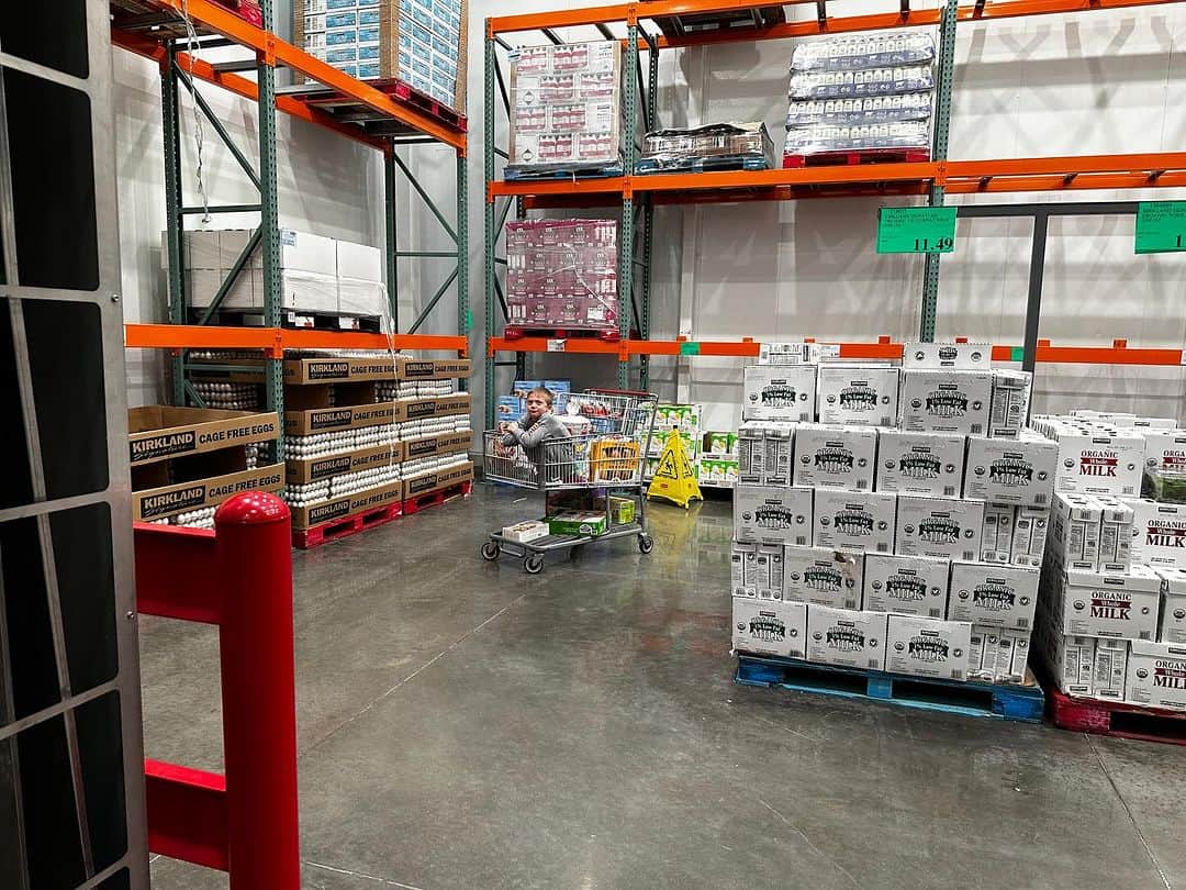 ショーン・パトリック・フラナリーのインスタグラム：「Sometimes we leave the little one in the deep freeze at @costco right next to the Promised Land chocolate milk and just walk away. Dude just hunkers down & waits us out. Zero fucks. Little shit is unbreakable. #TheyCameFromMyBalls #BigBrothersIdea #DontCallSocialServices #YerMomma #ItWasTheChicksIdeaToo #innocentDad⚡️TCFB」