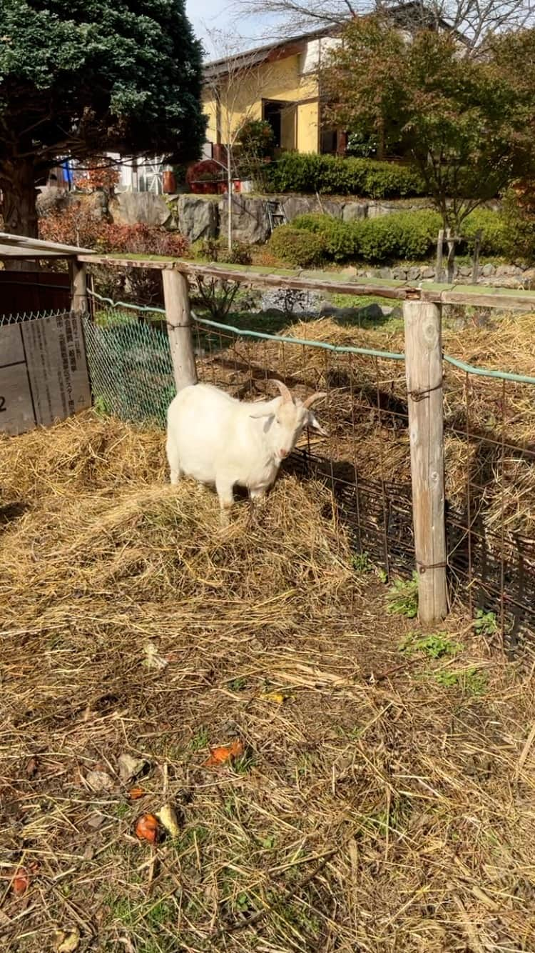 野島健児のインスタグラム