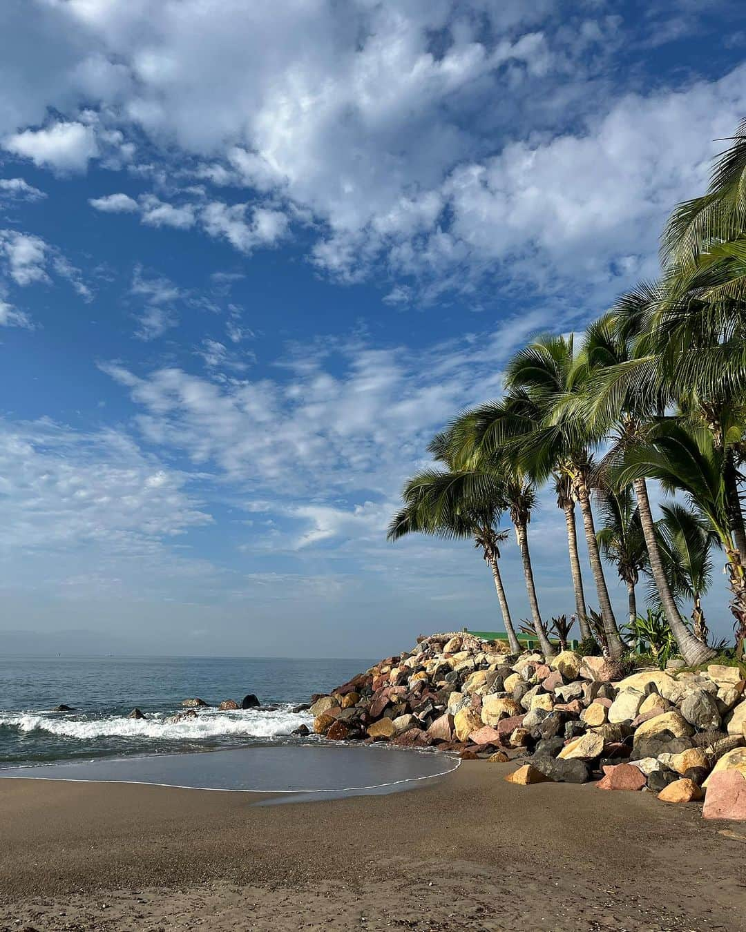 アンディー・トレスさんのインスタグラム写真 - (アンディー・トレスInstagram)「Morning beach walks are my favorite way to start the day 🦀 #puertovallarta #beach #mexico #playa」11月15日 2時13分 - stylescrapbook