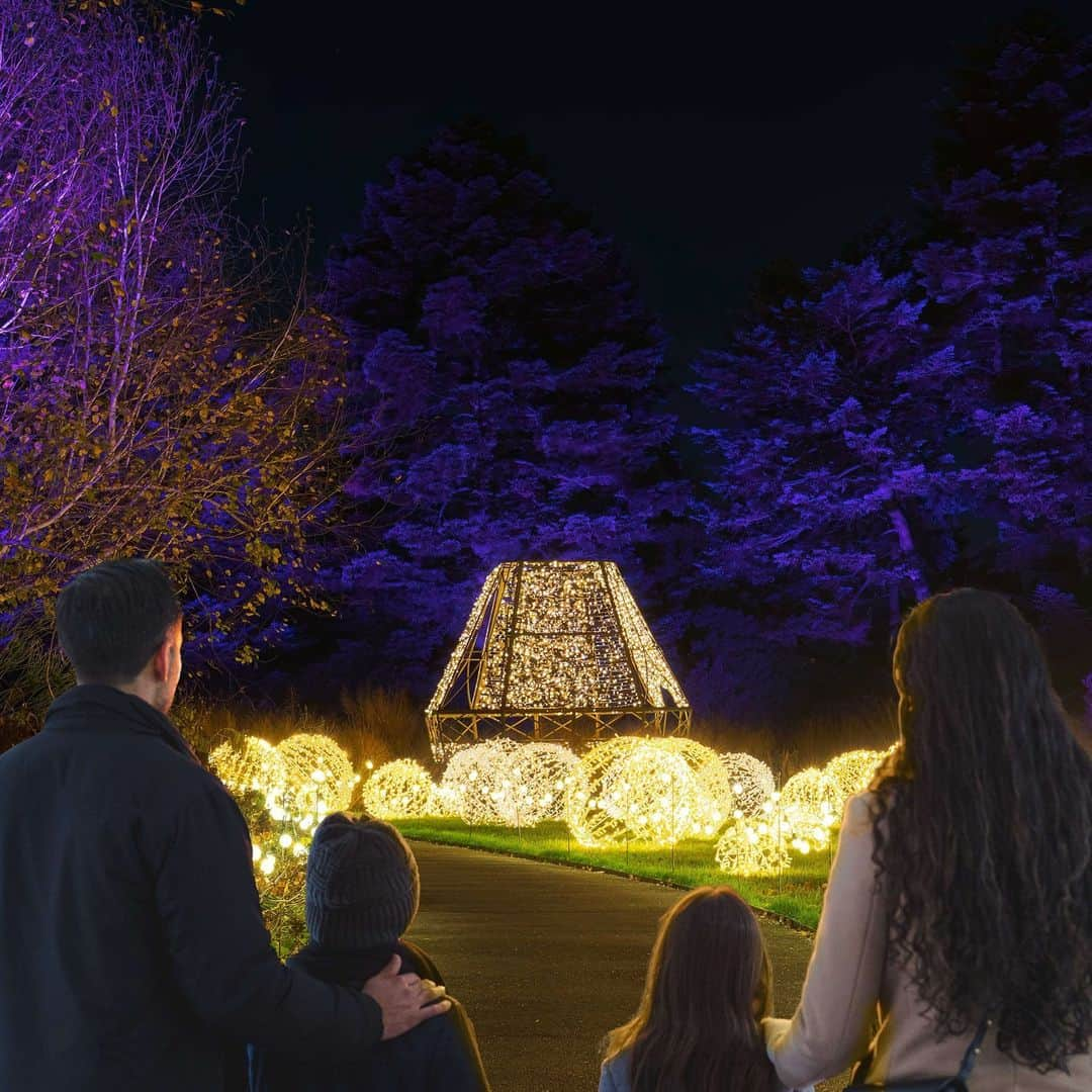 ニューヨーク植物園のインスタグラム：「A warming winter drink, thousands of dazzling holiday lights, and YOU. Treat yourself to NYBG GLOW starting this Friday! 🎁✨  Don't miss November 17’s opening night—enjoy the Garden’s iconic landscapes during New York's biggest holiday celebration, right here in the Bronx. Dazzling, choreographed lights and sound and picture-perfect installations await you. You can also explore the Holiday Train Show after hours! Marvel at our all-new outdoor train display, then head inside to watch model trains zip past iconic New York landmarks under the warmth of the Conservatory. Make the evening complete with a stop at our special pop-up of local bites from the @BronxNightMarket.  Light up your holiday season 💡! Get your tickets for this Friday through the link in our bio.  #HTSNYBG #NYBGglow」