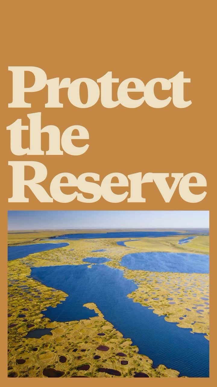 patagoniaのインスタグラム：「Life thrives in Alaska’s 23-million-acre Reserve. More oil drilling in the North Slope region would accelerate the climate crisis and damage natural ecosystems local communities need to survive.   Submit a comment, through the link in bio, by November 17 to tell the Biden administration to expand protections in the Reserve.」