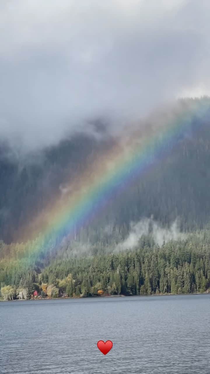 ターラのインスタグラム：「The world feels crazy right now, I feel so blessed to be able to take some time in nature. Do what you need to do to stay grounded 🙏 ✨ . . . . . . . . . . #olympicpeninsula #temperaterainforest #rainforest #nature #savetheplanet」
