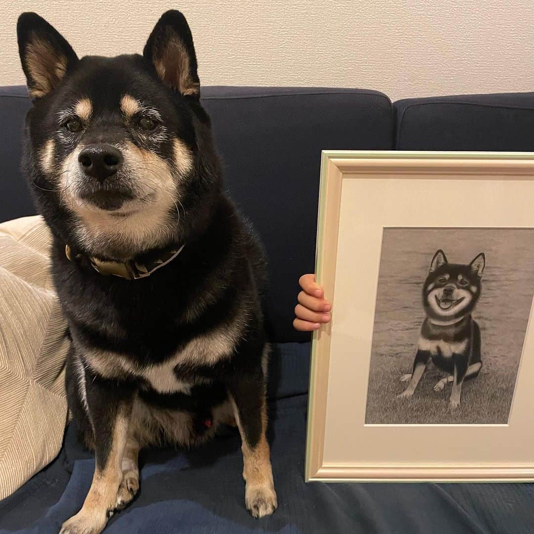 吉村民のインスタグラム：「鉛筆でリアルな絵を描く @akira.okabayashi さんが 我が家の小鉄くんを描いてくださいました🐕  みんな大喜び！ 「かわいー凄すぎるーーー本当に描いたの？！」と顔を近づけて見入ってました。  素敵すぎる作品をありがとうございました✨」