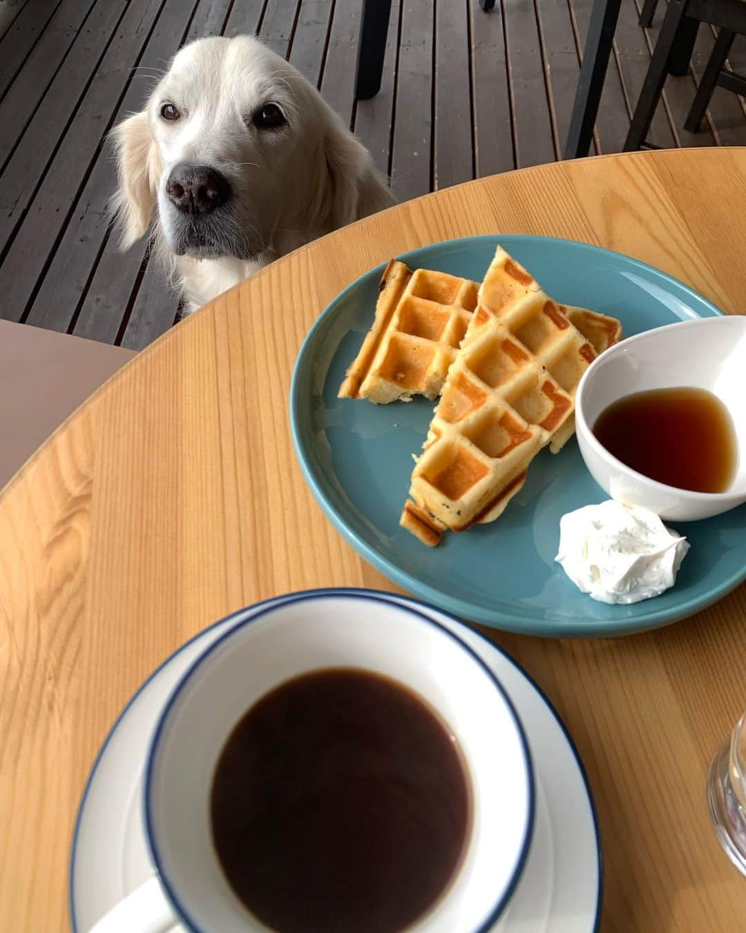 P太郎ママのインスタグラム