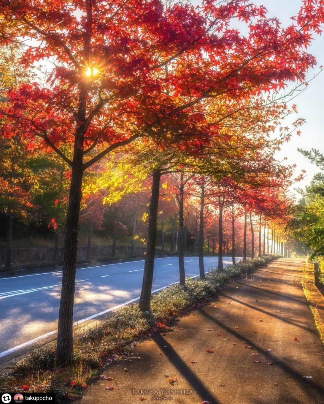 兵庫県のインスタグラム