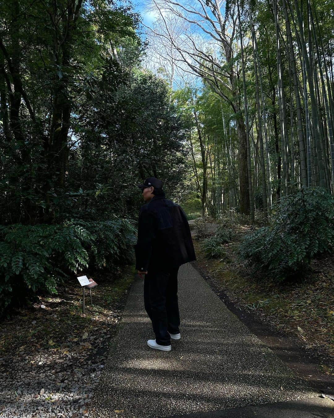 新井貴子さんのインスタグラム写真 - (新井貴子Instagram)「静岡ふらりたび。   🍵🍁🍂  (何かを必死に撮っていた夫。腰90度。)」11月15日 14時45分 - kikoarai