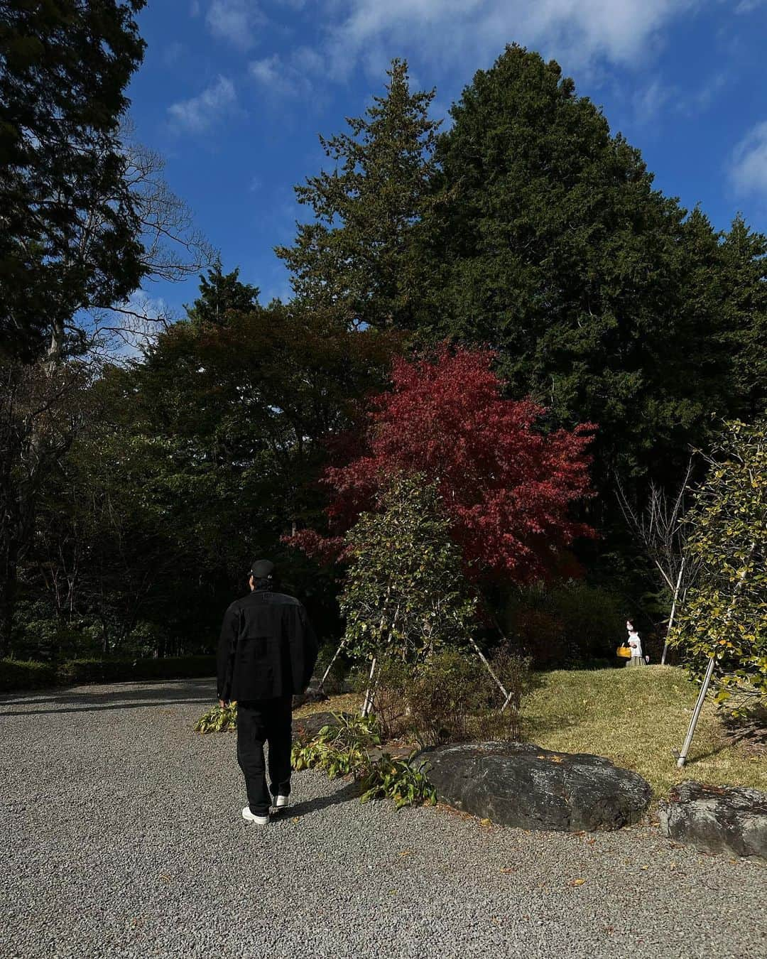 新井貴子さんのインスタグラム写真 - (新井貴子Instagram)「静岡ふらりたび。   🍵🍁🍂  (何かを必死に撮っていた夫。腰90度。)」11月15日 14時45分 - kikoarai