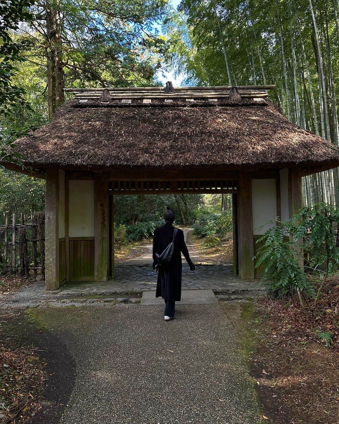 新井貴子のインスタグラム：「静岡ふらりたび。   🍵🍁🍂  (何かを必死に撮っていた夫。腰90度。)」