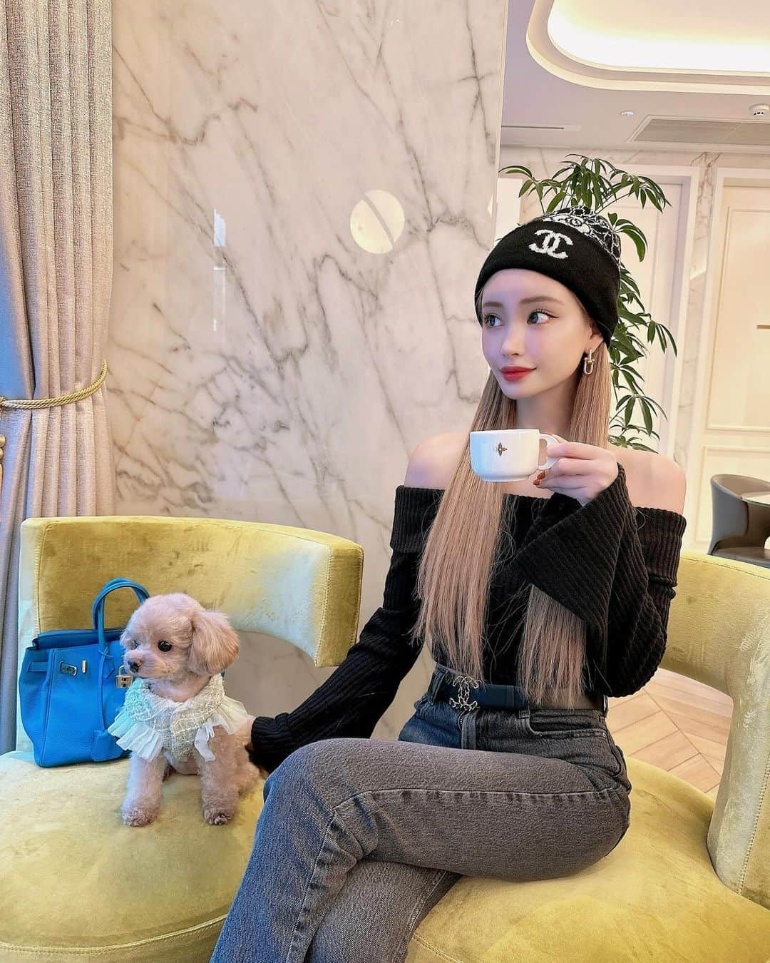 きよみんさんのインスタグラム写真 - (きよみんInstagram)「🐶☕️💞」11月15日 14時49分 - kiyomin.1031