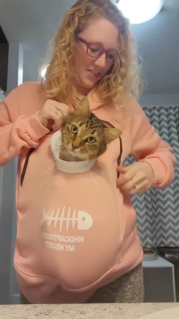 のインスタグラム：「[LINK IN BIO - PET SHOP] Snuggly Cat Pouch. 🐈🐾  Tag a friend who needs this! 😍  Order link in our bio ↙️ @dailycatclub   🛒 Free Shipping Worldwide」