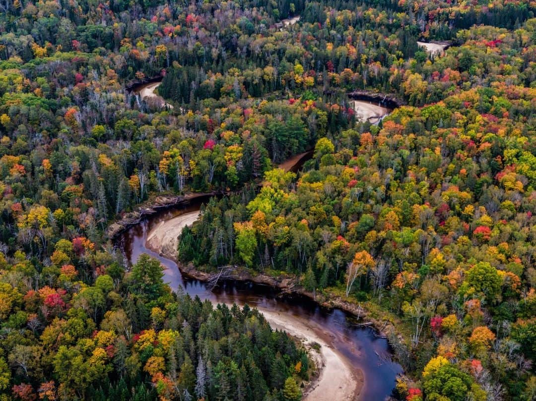 National Geographic Travelのインスタグラム：「Photo by Spencer Millsap @spono | The Oxtongue River meanders through peak fall colors just outside Algonquin Provincial Park in Ontario, Canada. The park itself, at nearly 3,000 square miles (7,800 square kilometers), is a must-see for those looking for a remote backcountry escape or a drive through the incredible autumn displays.」