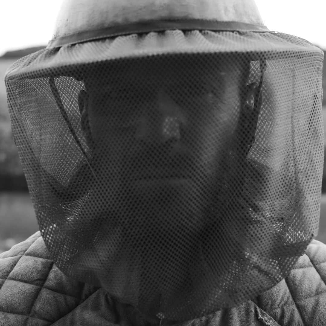 ジェイソン・ステイサムさんのインスタグラム写真 - (ジェイソン・ステイサムInstagram)「#thebeekeeper  📷 @short.cut.films」11月15日 6時05分 - jasonstatham