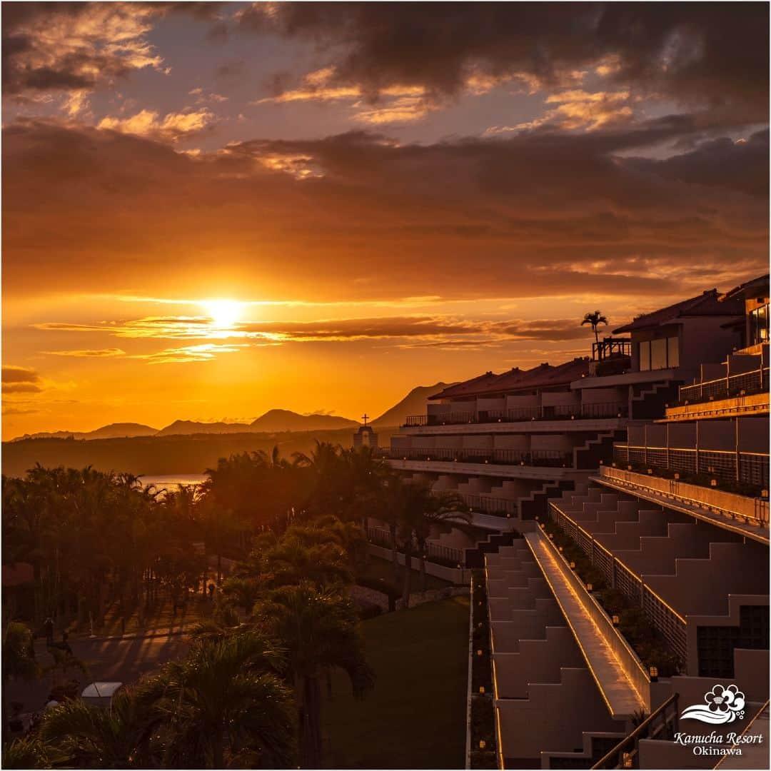 カヌチャリゾートさんのインスタグラム写真 - (カヌチャリゾートInstagram)「夕焼けのカヌチャ🌄  沈みゆく夕日に照らされ、鮮やかなオレンジ色に染まるカヌチャ。 沢山のヤシの木と夕日が織りなすノスタルジックな光景が見られるのは、 日没前のわずかな時間だけです。  カヌチャで過ごす楽しい一日の終わりに、 やんばるの空に浮かぶ美しい夕日を堪能してみてくださいね✨  ノースウィング棟などの一部のお部屋では バルコニーから夕日を望むこともできますよ♪  #カヌチャリゾート　#カヌチャ　#夕焼け　#夕日　#サンセット #沖縄リゾート　#南国リゾート　#ヤシの木　#絶景 #県民プラン　#カップルプラン　#デートプラン #kanuchaResort　#okinawaResort　#okinawatrip　#yanbaru　#familyresort #luxuaryvacation　#liveunforgettable　#sunset　#palmtree」11月15日 7時00分 - kanucha_resort