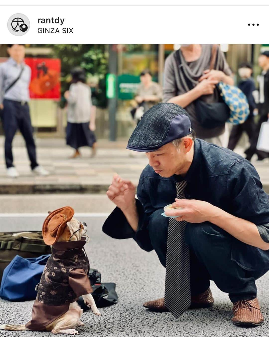 紋次郎さんのインスタグラム写真 - (紋次郎Instagram)「Thanks @rantdy  着るものを紋次郎にあわせたて出かけるのに、紋次郎は着替えるから、気づくと、なんでこんな格好なんだ？と、なる🤣  #dog#dogstagram#instadog#chihuahua#barkbox#mydogiscutest#buzzfeed#dog_features#fluffypack#barkpack#dogsofinstagram#犬#チワワ#手作り#handmade#着物#fashion#紋次郎一家#チーム茶#ふわもこ部#igersjp#peco犬部#dogfashion #whisky」11月15日 7時22分 - montjiro